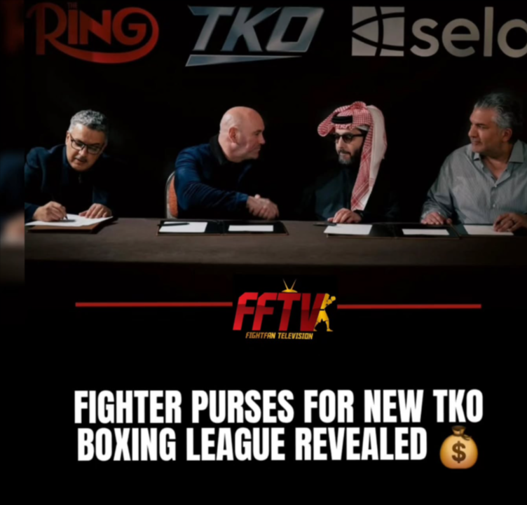 TKO Boxing Highlights